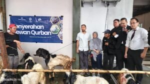 Momen Idul Adha 1447 H, Dmall Berbagi Hewan Qurban Ke Warga Sekitar